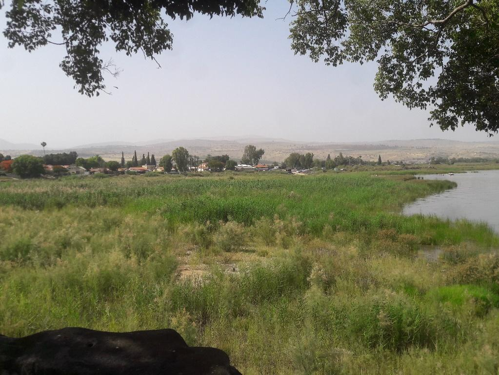 A grassy field with a body of water in the background

Description automatically generated with medium confidence