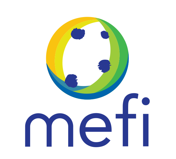 Logo Grup Mefi