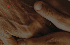Culte: Tracta els altres com vols que et tractin a tu