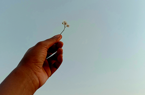 Any nou, esperança nova