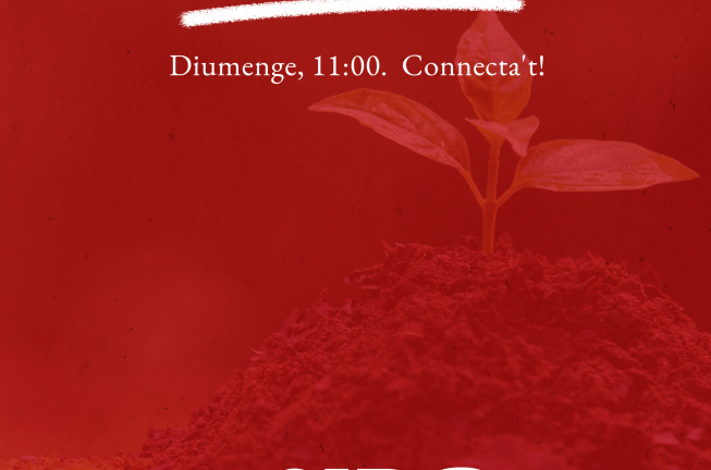 Culte: "El manual del creixement"