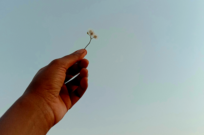 Any nou, esperança nova