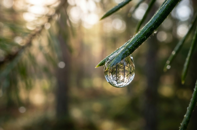 ¿Naturaleza o creación?